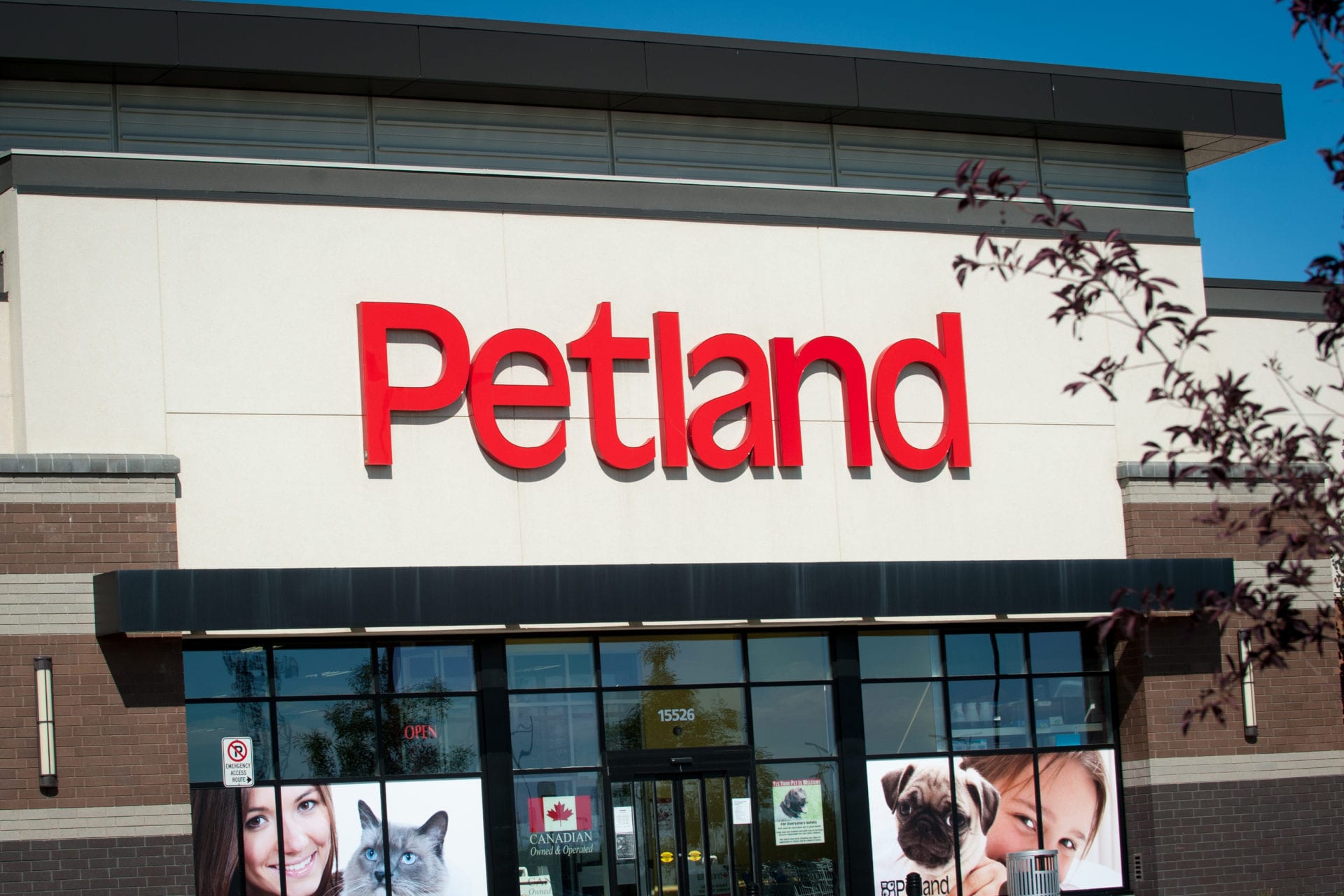 Petland - Manning Town Centre